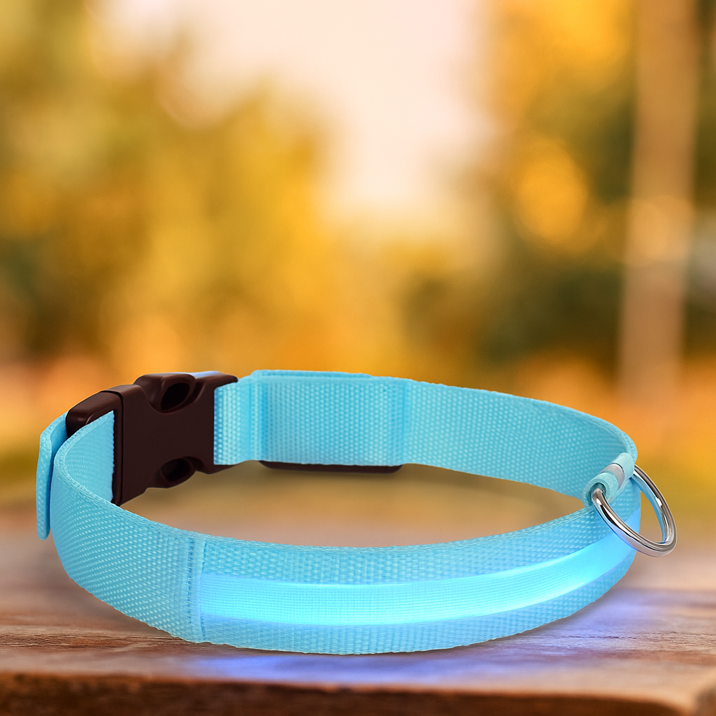 Collar Led Mascotas Nailon Brillante