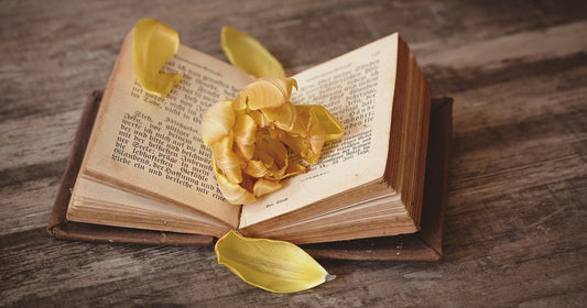 5 libros breves que cambiarán tu forma de pensar