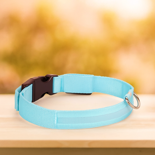 Collar Led Mascotas Nailon Brillante